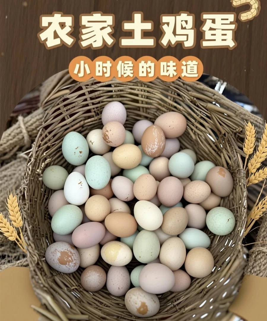 麦子成熟了30枚农家新鲜土鸡蛋