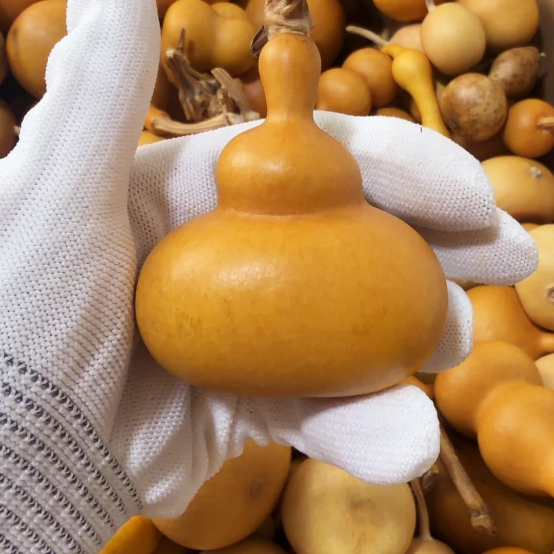 天***辉请确认好在下单 7