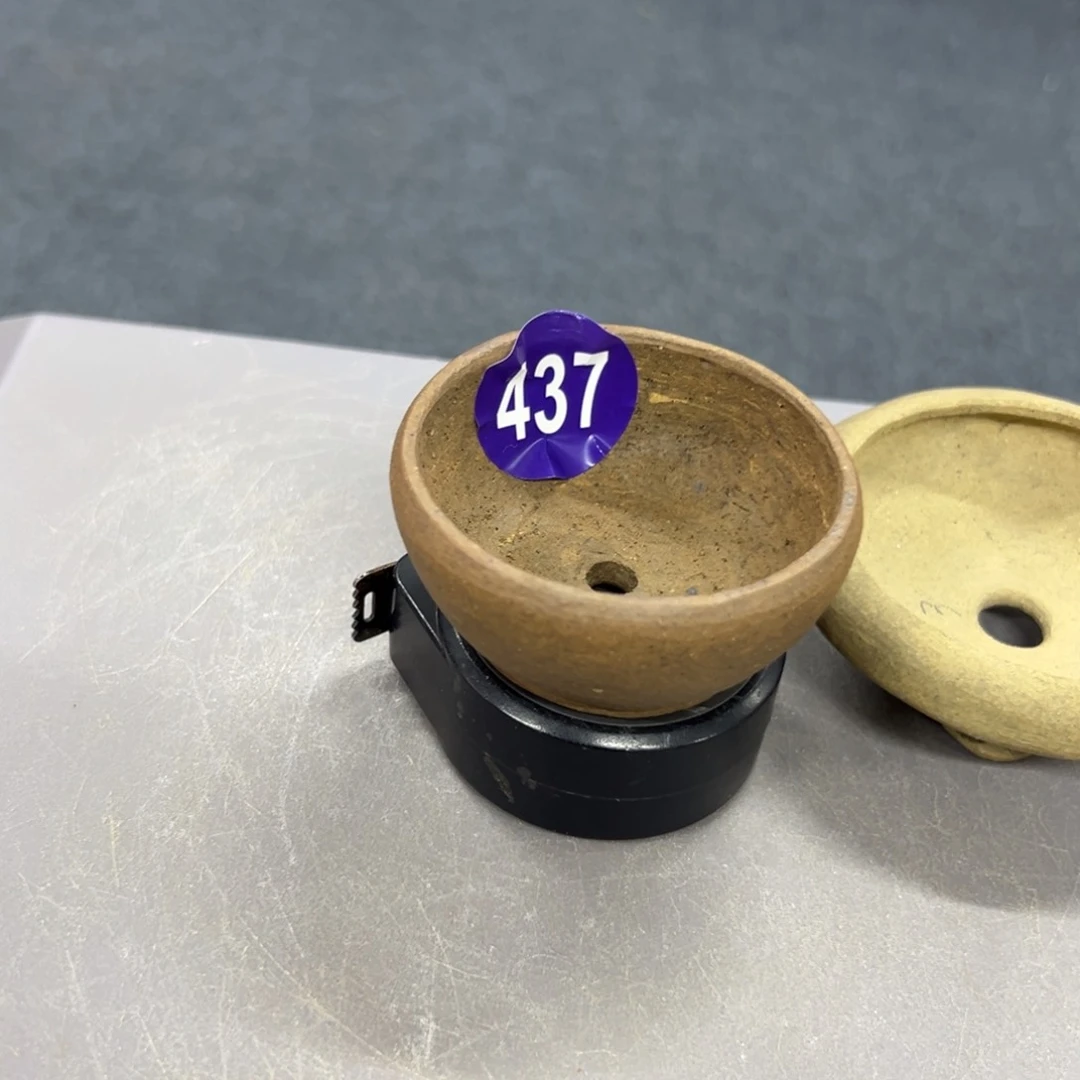 红陶啊*轻轻一点，直接输入437