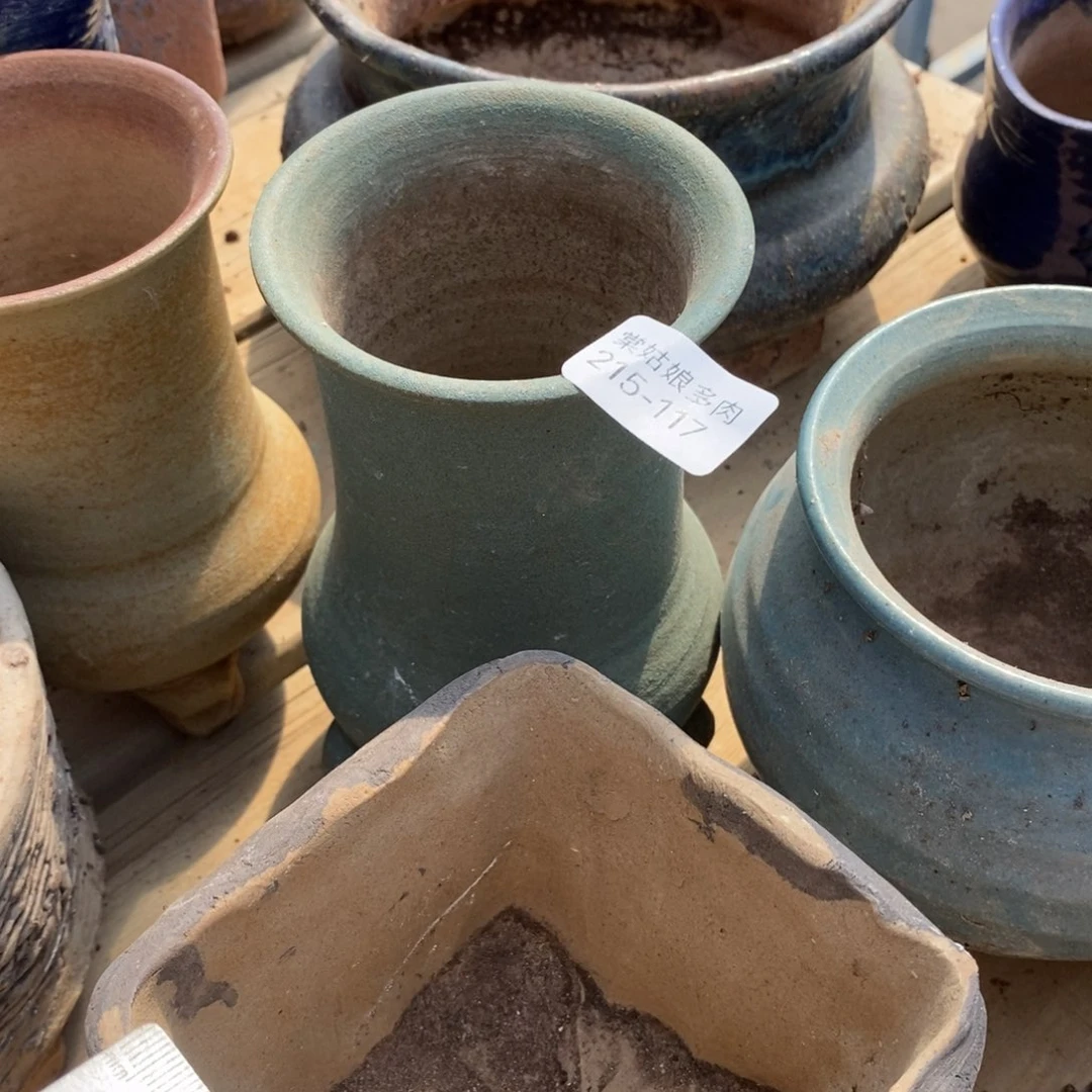 红陶嫣*117号的人盆一个呀