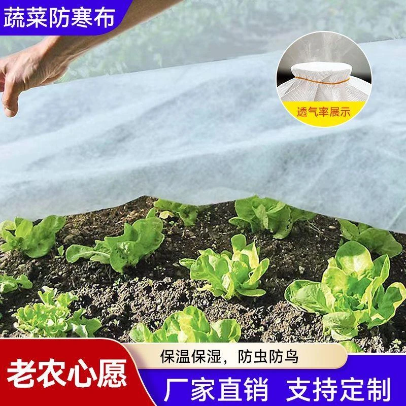 果树茶叶蔬菜透气透光防寒布柑橘加厚保温布防霜防雨免搭棚防冻布
