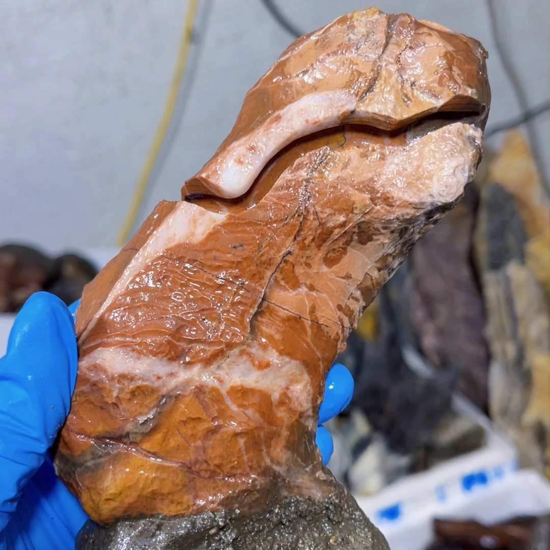 用****1附石盆景一物一拍