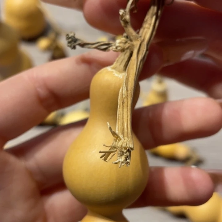 ꧁****葫芦葫芦葫芦葫芦