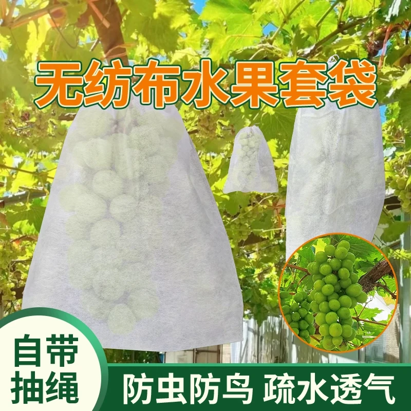 水果袋套苹果袋梨子果树枇杷芒果套袋芭乐番石榴脐橙柚子专用防虫