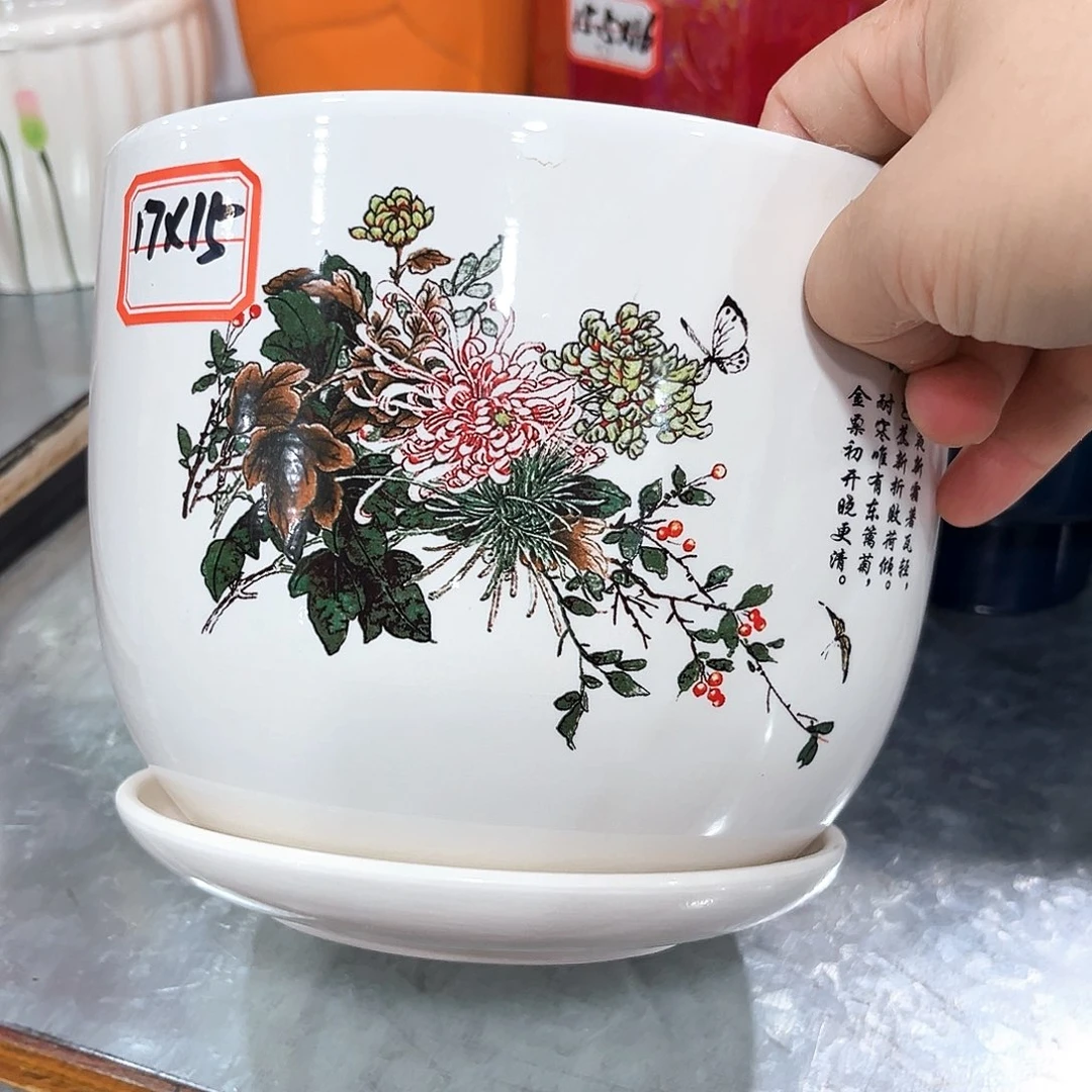 花盆花盆花盆花盆花盆花盆花盆花盆花盆