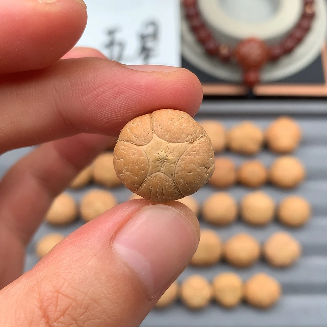 凤眼菩提吊坠特价19+五星，非质量问题开孔不退