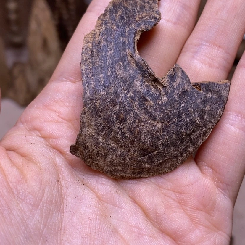 【闪购商品】香榧木沉水1.22克