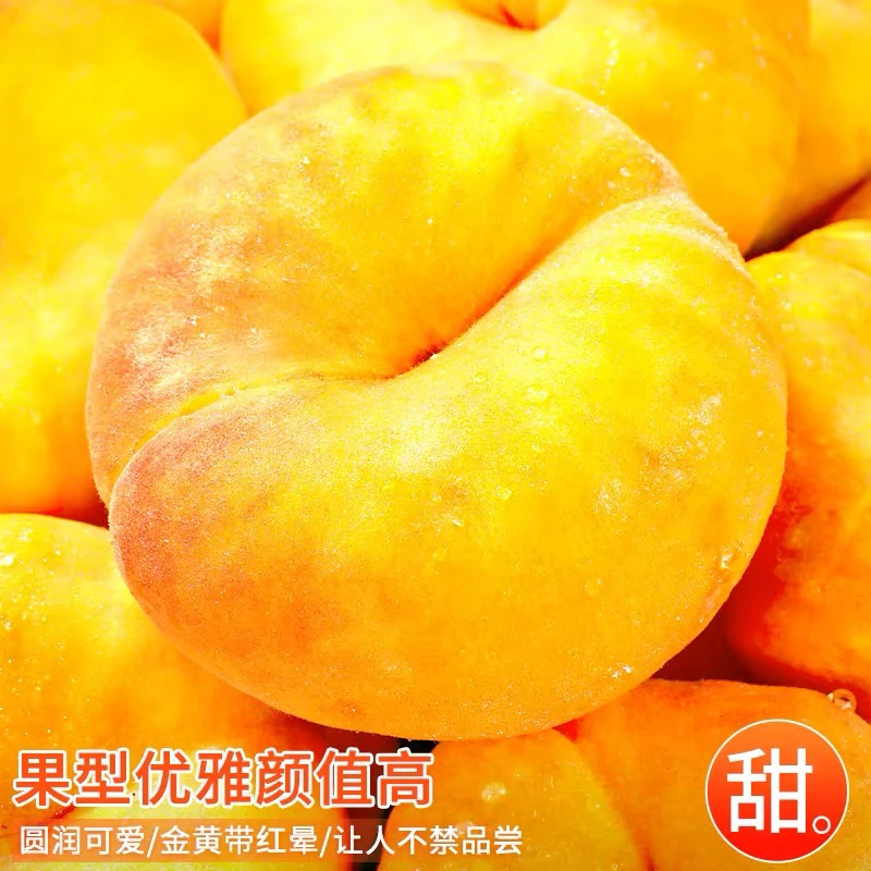 观梧优选精品金霞毛蟠还原食物本来味道