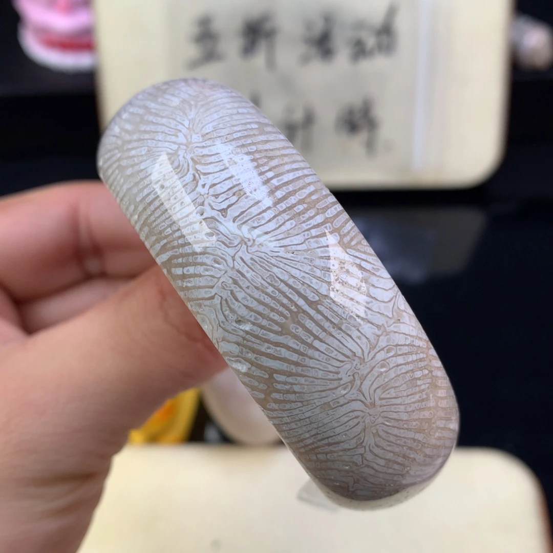 硅化珊瑚（珊瑚玉）未镶嵌颈饰48号白龙骨57.3圈