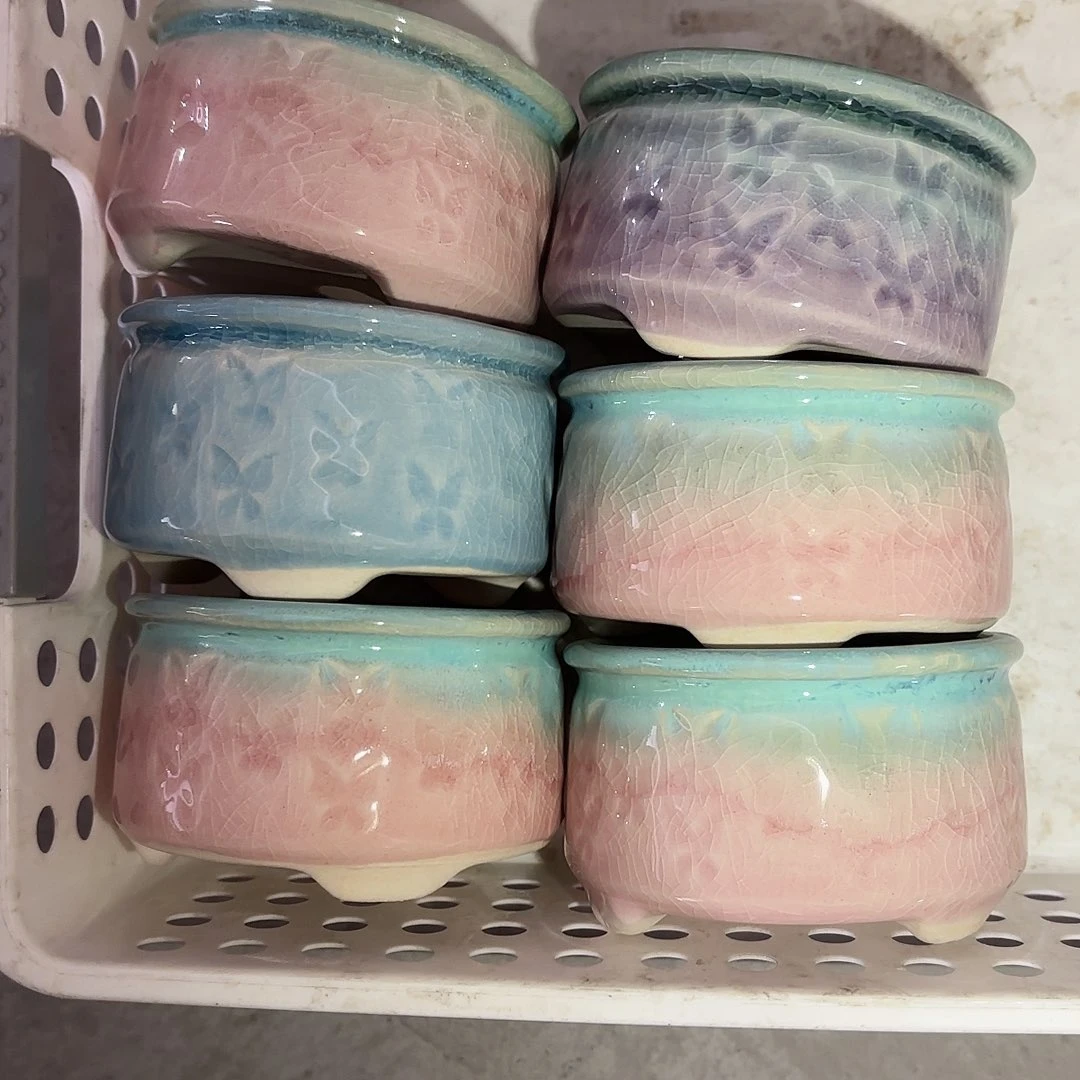 猪***量货/口6.5高5深浅搭配发6