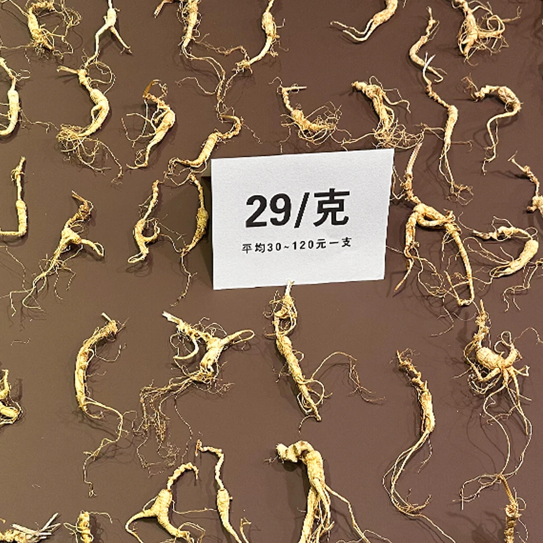 长白山林下籽参，新店福利，适合吃货自用