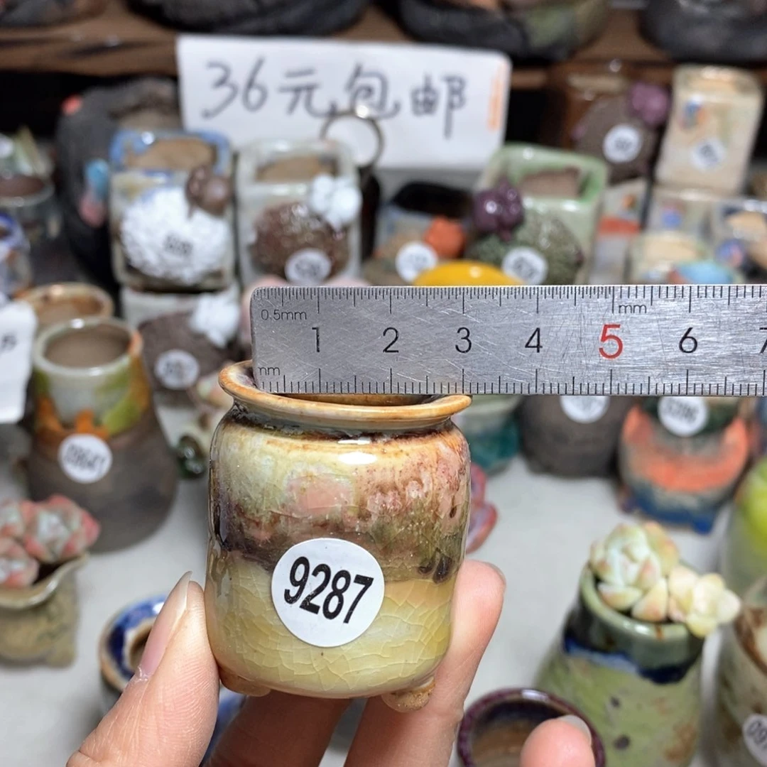 拍5送一个小礼物