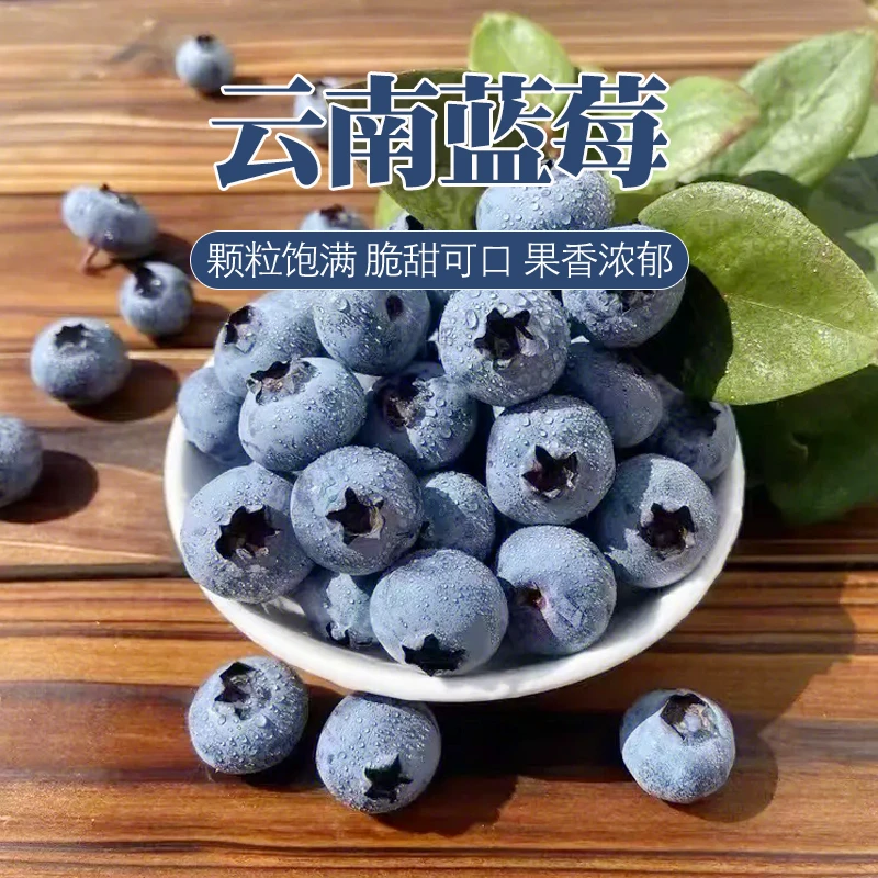 【坏果包赔】云南L25蓝莓净重6盒/12盒 1.5斤/3斤 香气十足爆汁脆甜