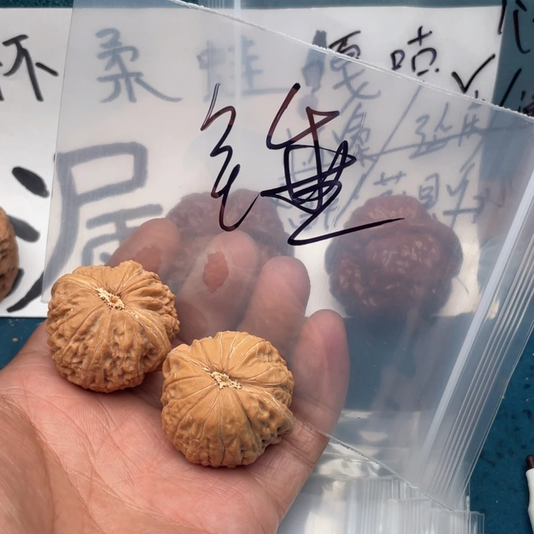核桃W85:86694684368683864