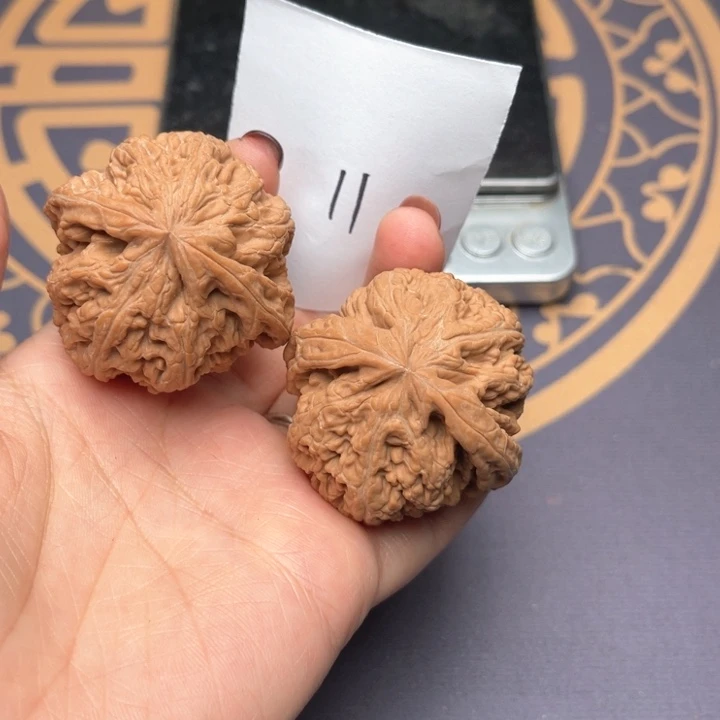 文玩核桃把件43大粗筋 11号