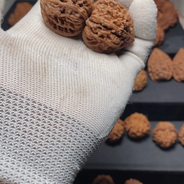 把件文玩核桃秦岭野生龙旦