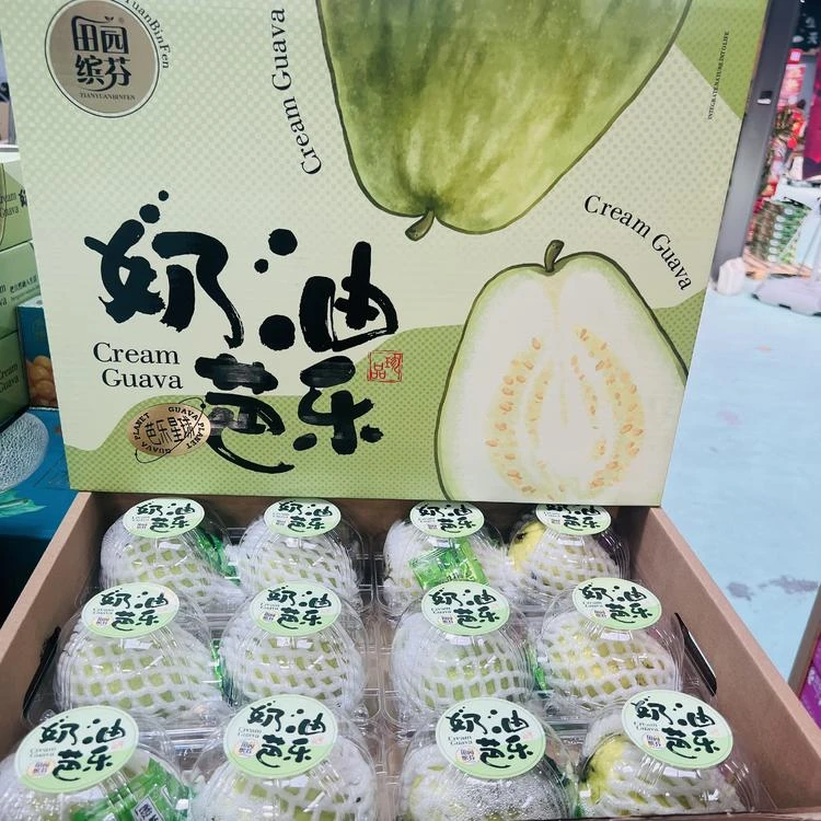 【礼盒箱】奶油芭乐大果 树上熟新鲜水果一箱12颗左右带箱7.5斤左右
