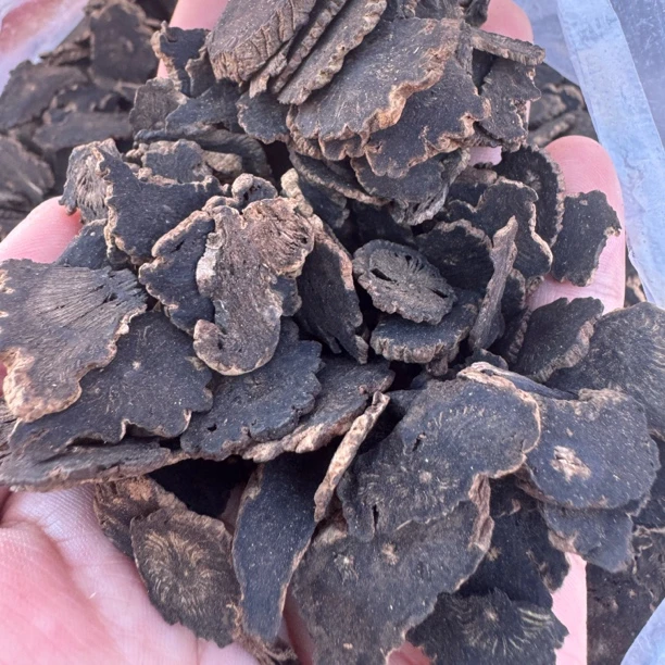 云南土特产-玄参（正宗下山货）