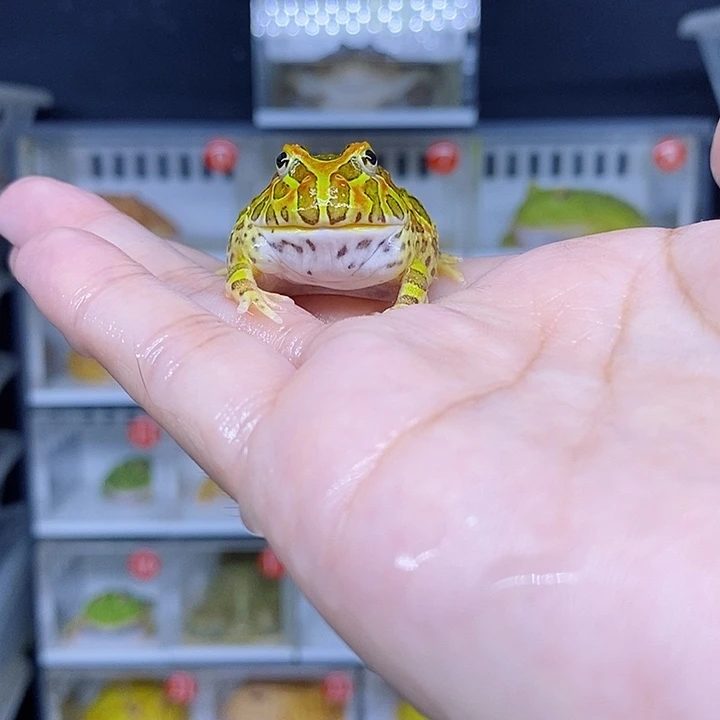 特价秒杀现货特价残