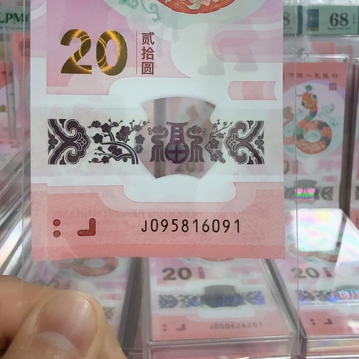 塑料小蛇钞号码095816091
