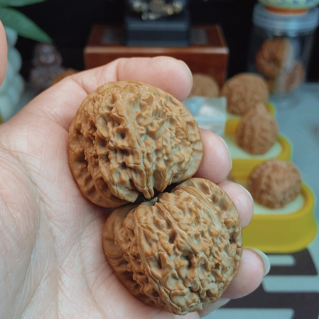 福利白狮子核桃手把件！