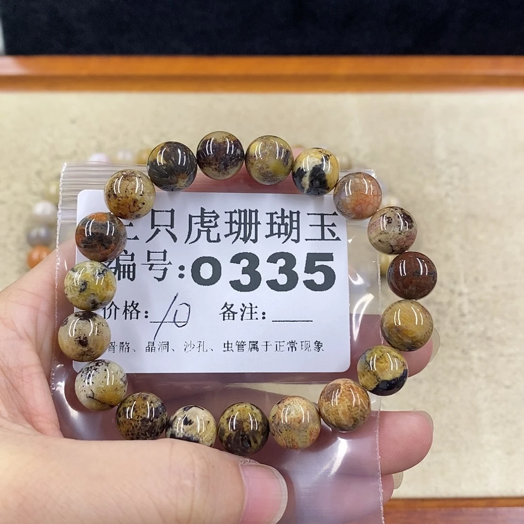 硅化珊瑚（珊瑚玉）1未镶嵌逐*?