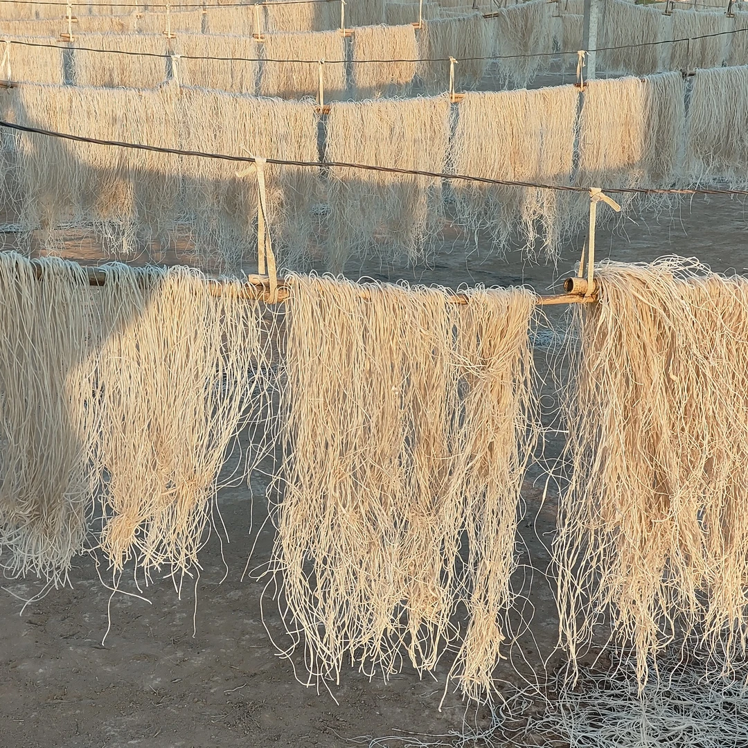 纯手工晾晒红薯粉条【细粉】净重5斤装