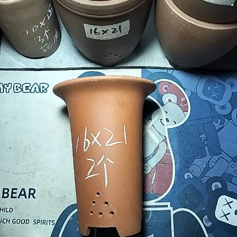 小红兰花两个微瑕