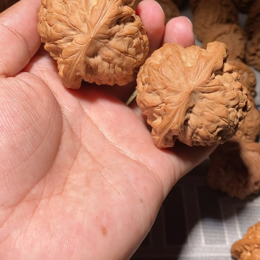 文玩核桃把件020龙鼎55尺全品头货对