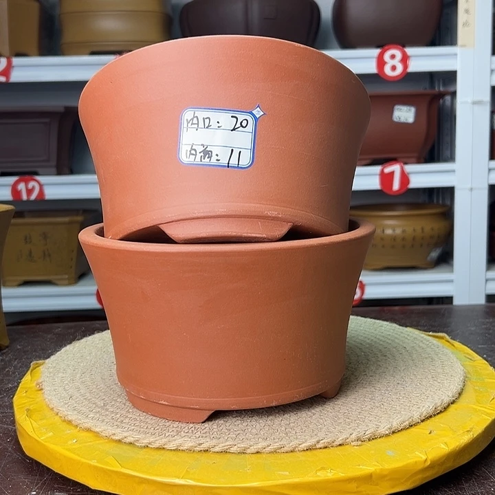 花盆紫砂蛇年大吉