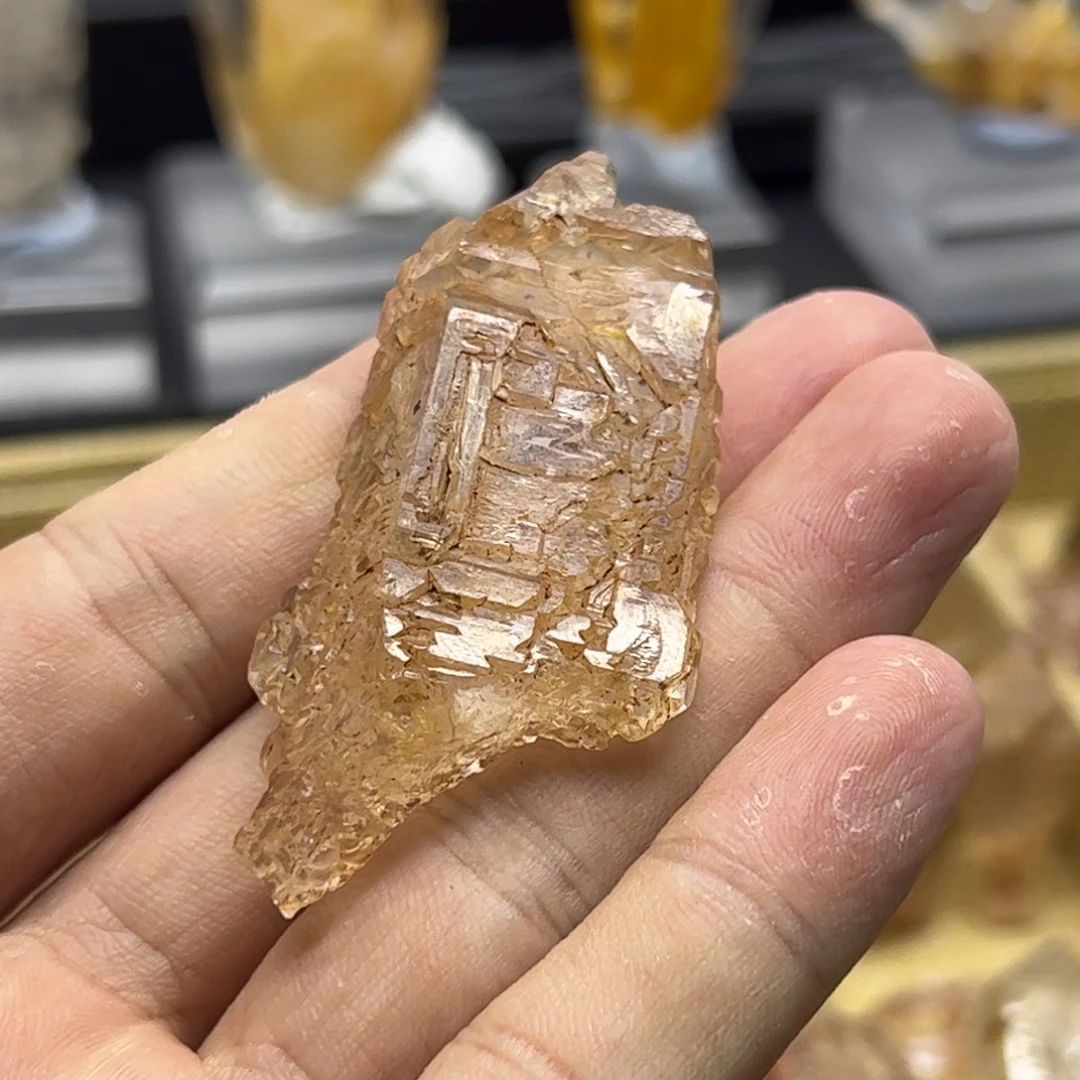 石材红泥骨干油胆骸骨