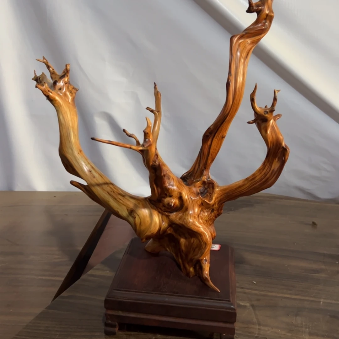 小***曲柏木（崖柏）太行崖柏陈化