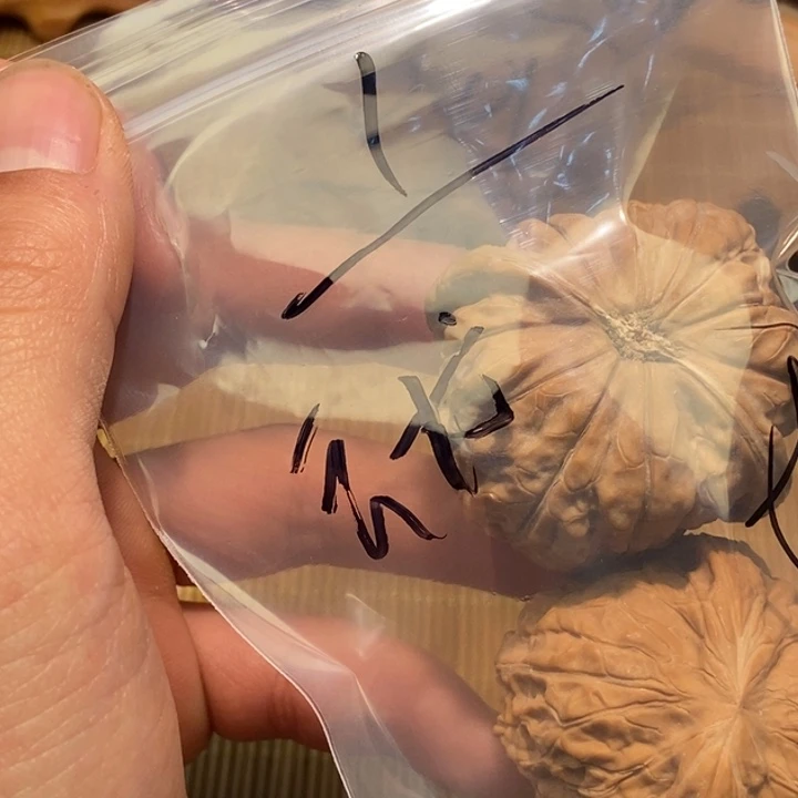 云***殢文玩核桃吊坠bbbb