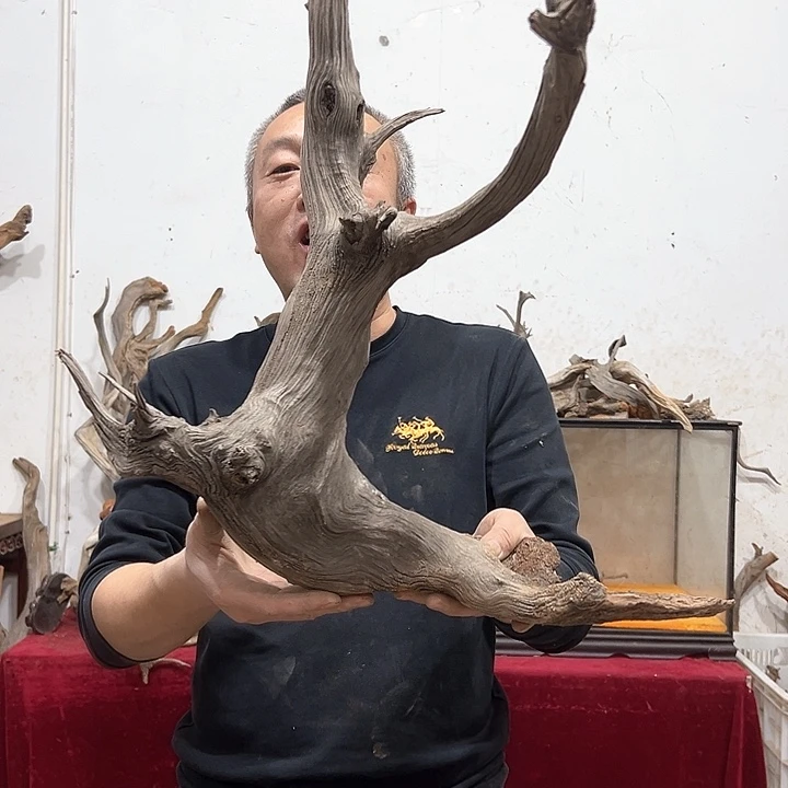 柏木愈**痕我们都是好孩子呀我也是想