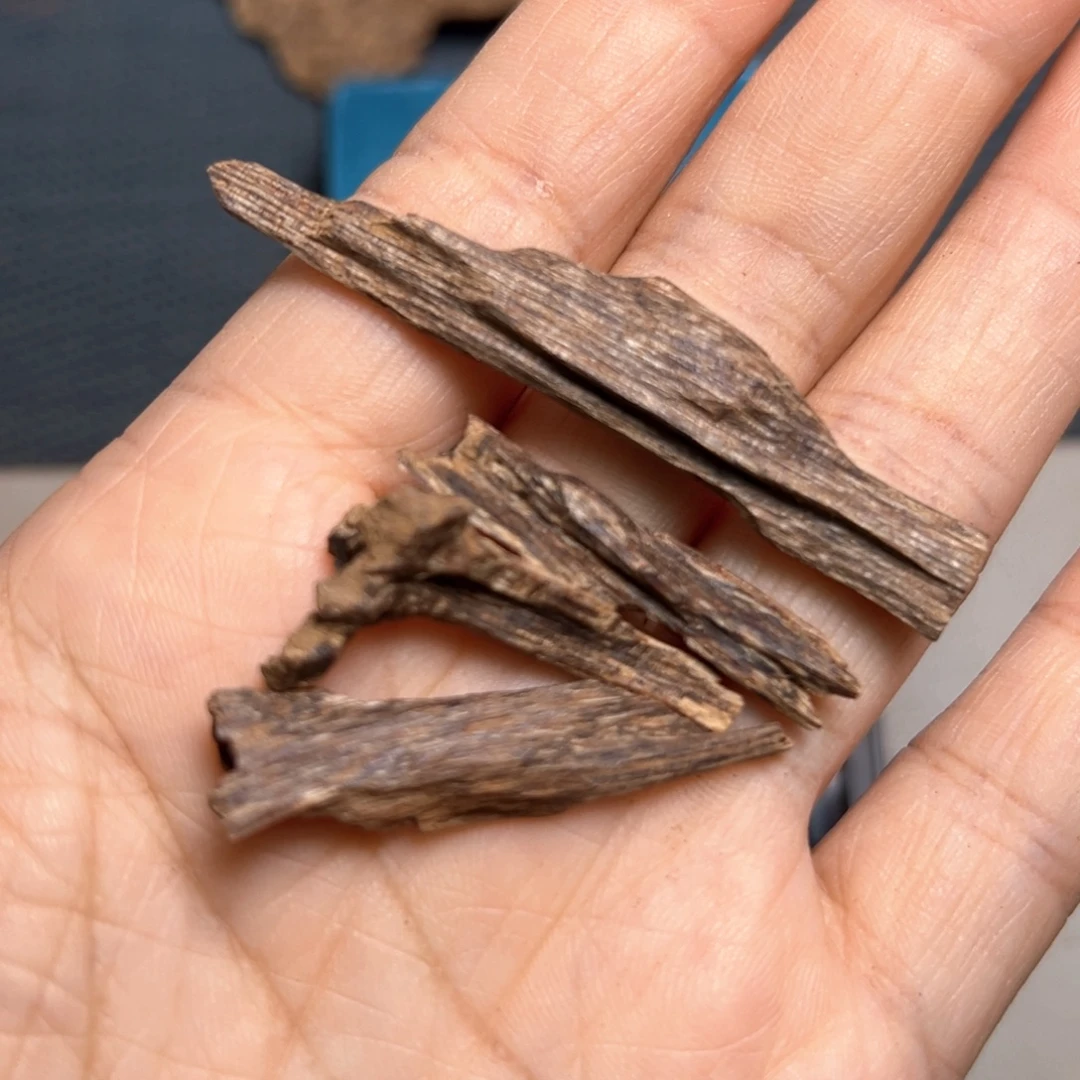 冬****香榧木树心福利2克