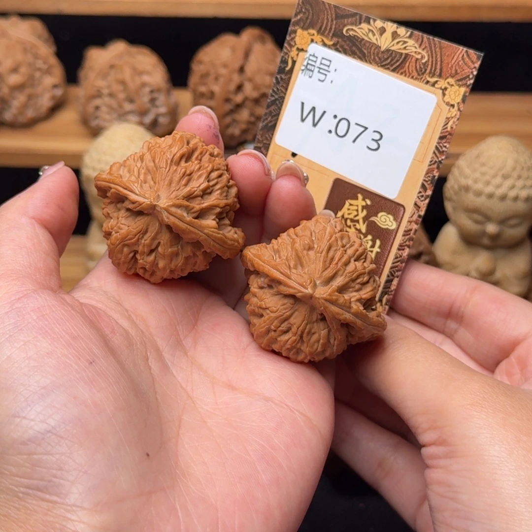 核桃w073白狮子4.1磕