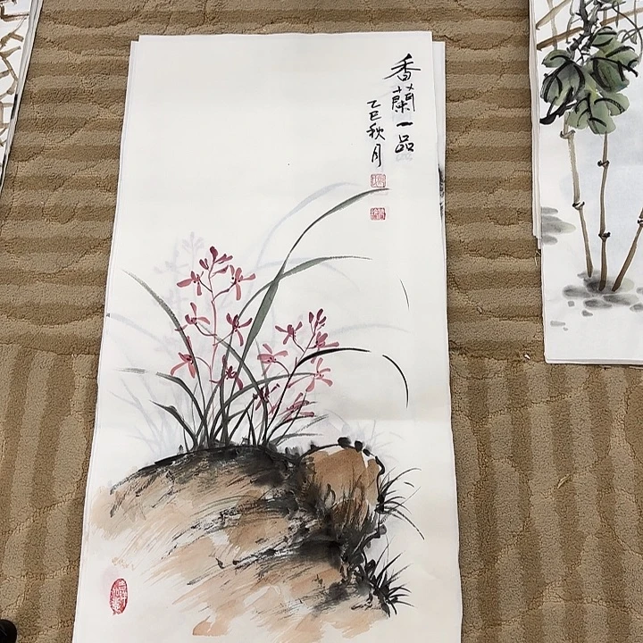 国画花鸟等多种鸟类和