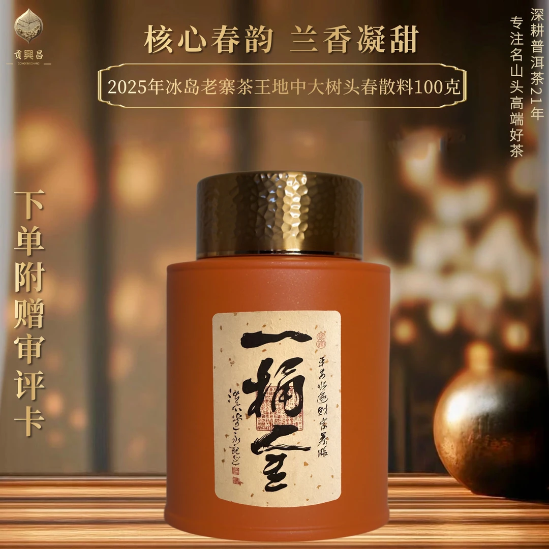 【茶王地春】2025年冰岛老寨 茶王地 中大树春散料100克/罐