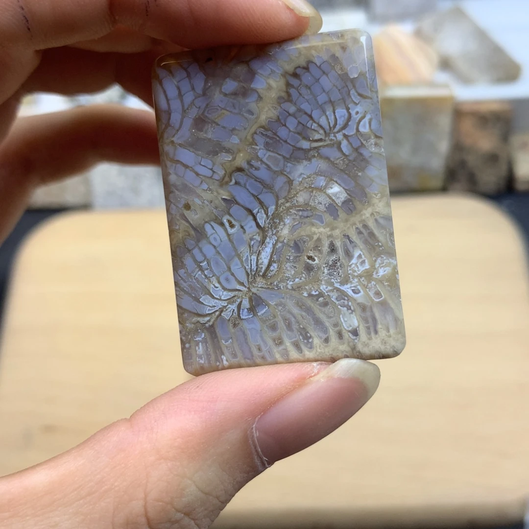 今***天硅化珊瑚（珊瑚玉）未镶嵌颈饰