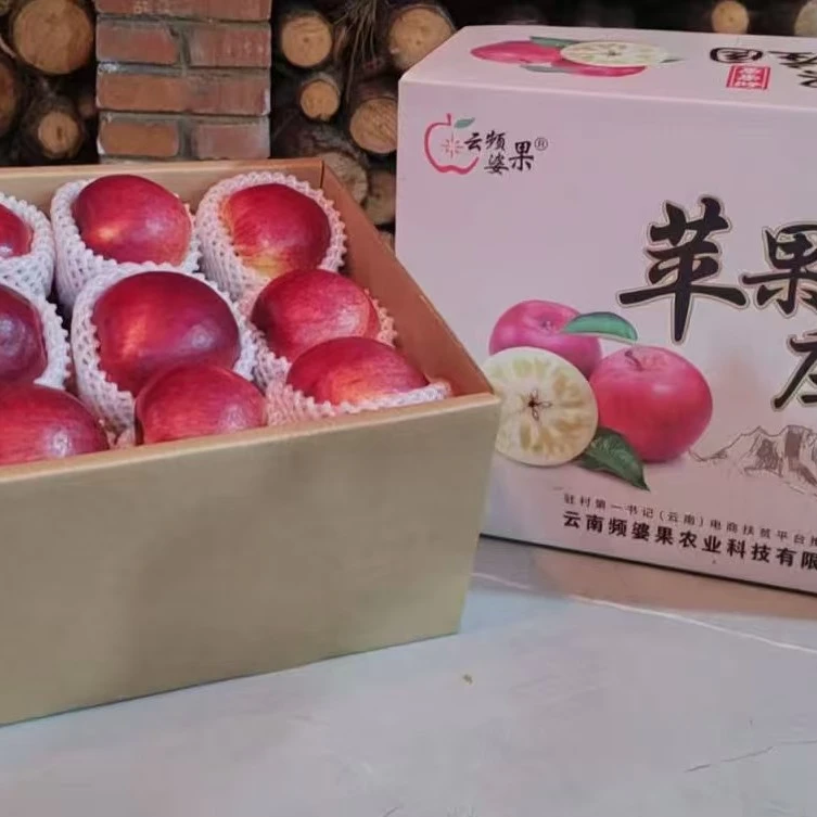 云南会泽纯甜苹果