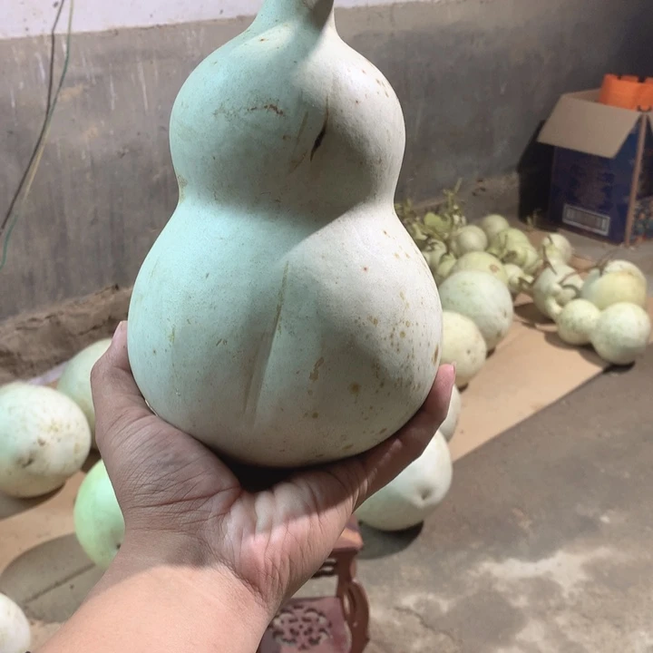 Y***N中号现货供应充足