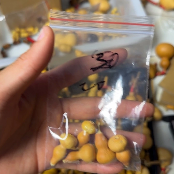 苝***。葫芦打孔后不退不换！