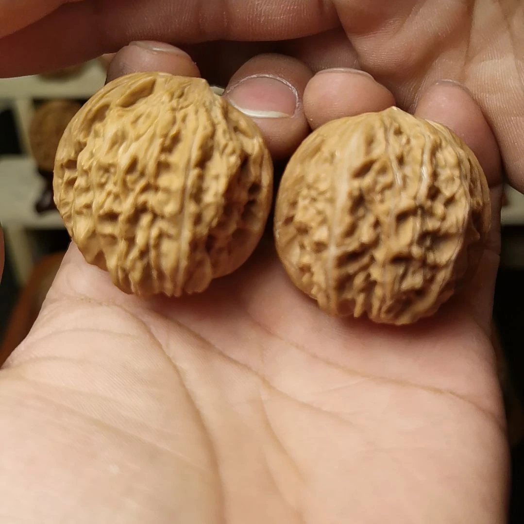 核桃文玩核桃高端小众山地红皮磨盘40尺