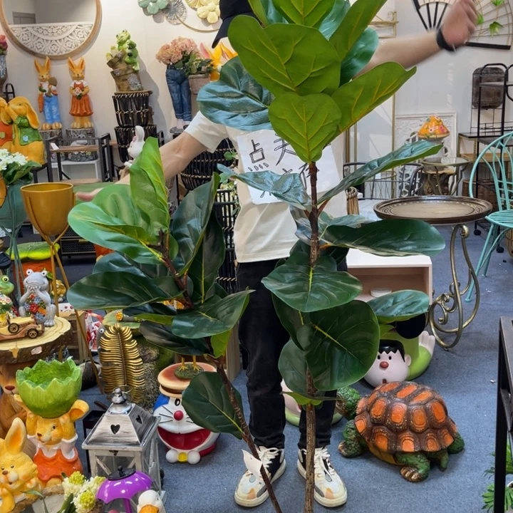 摆件绿植哈哈哈哈哈哈