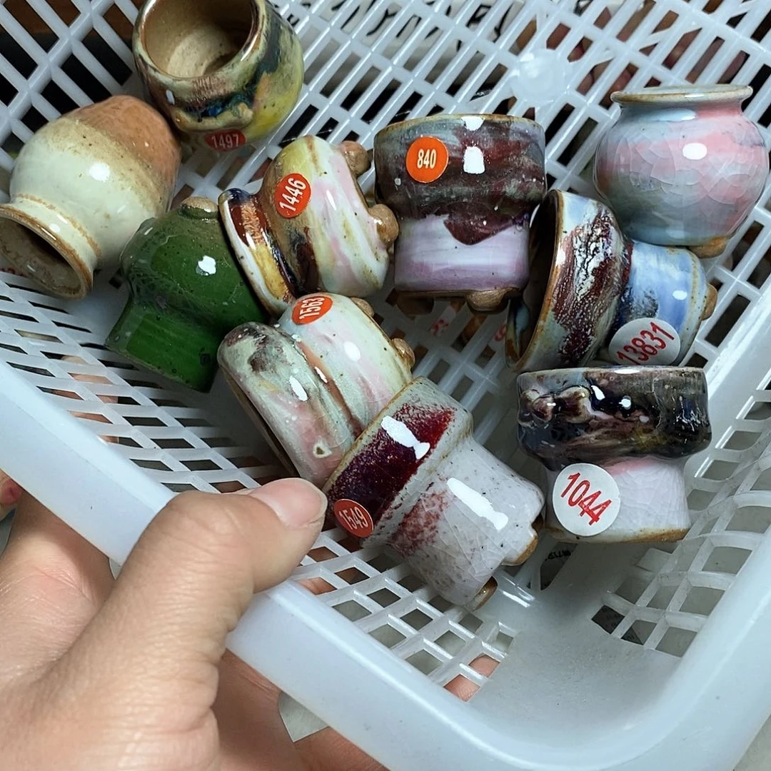 红陶叶**冬拍5送一个小