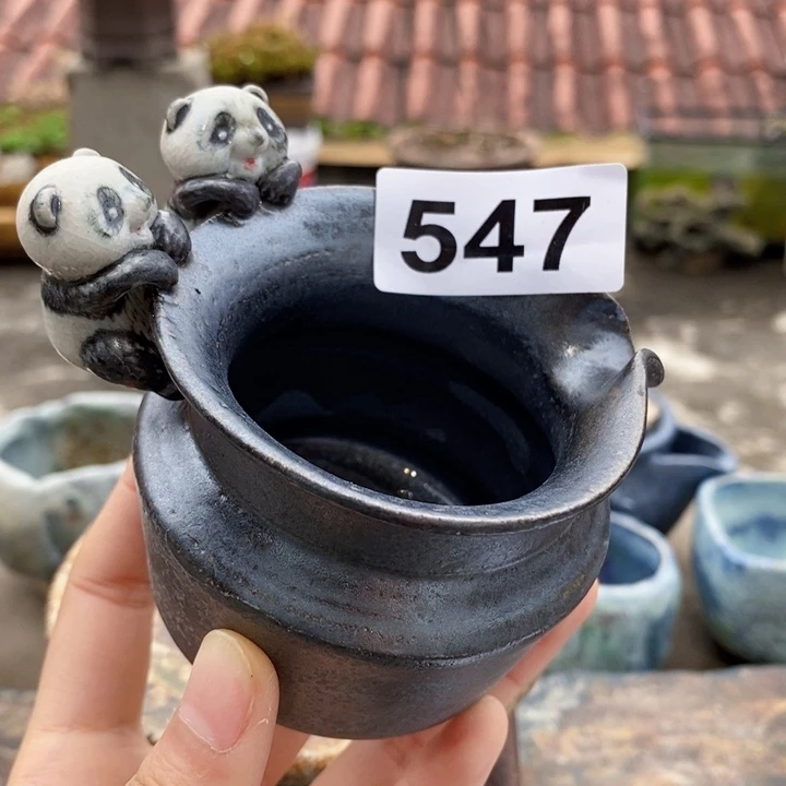 茶盏啦啦啦啦啦啦啦啦547