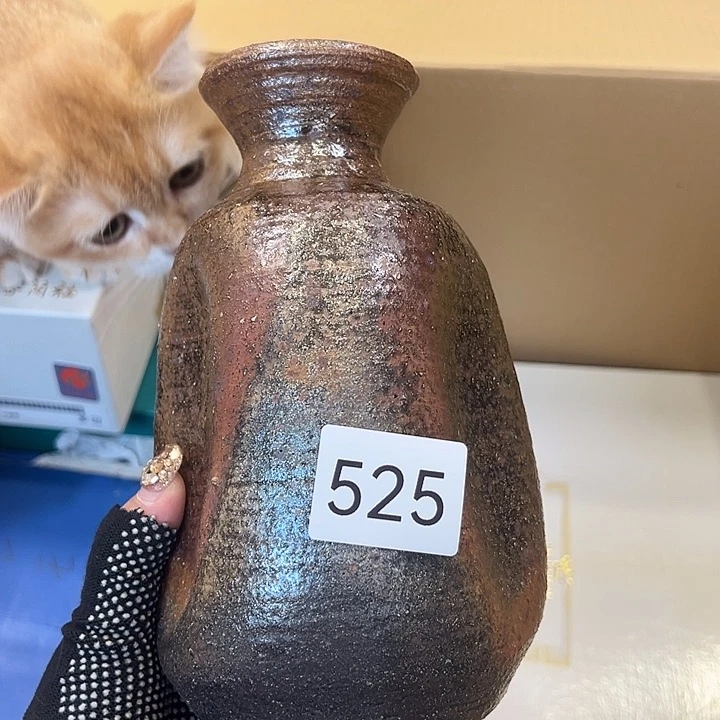 我的小可爱们都好棒