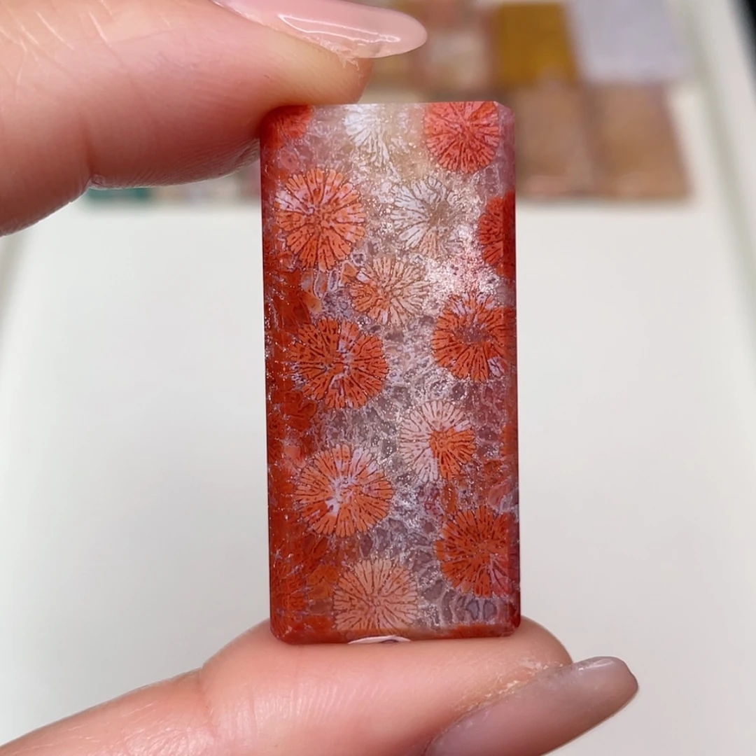 【闪购商品】未镶嵌吊坠(赠链)硅化玉