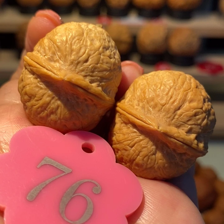 七彩小龙珠33尺寸