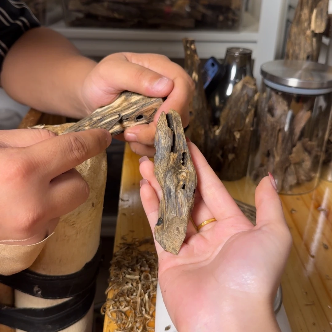 沉香篮宝石虫漏香10克
